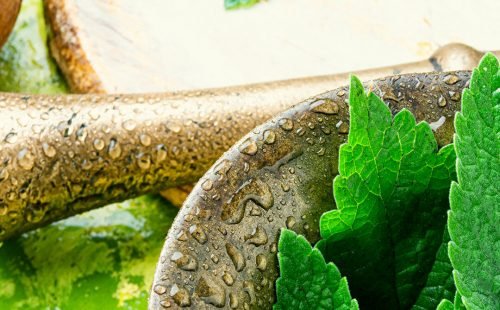 Productos Botánicos